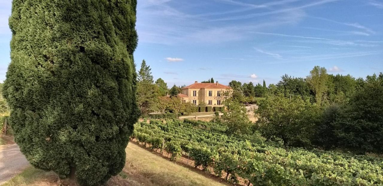 Chateau De Rouffiac Bed and Breakfast Duravel Buitenkant foto